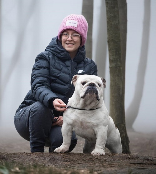 English bulldog, male
