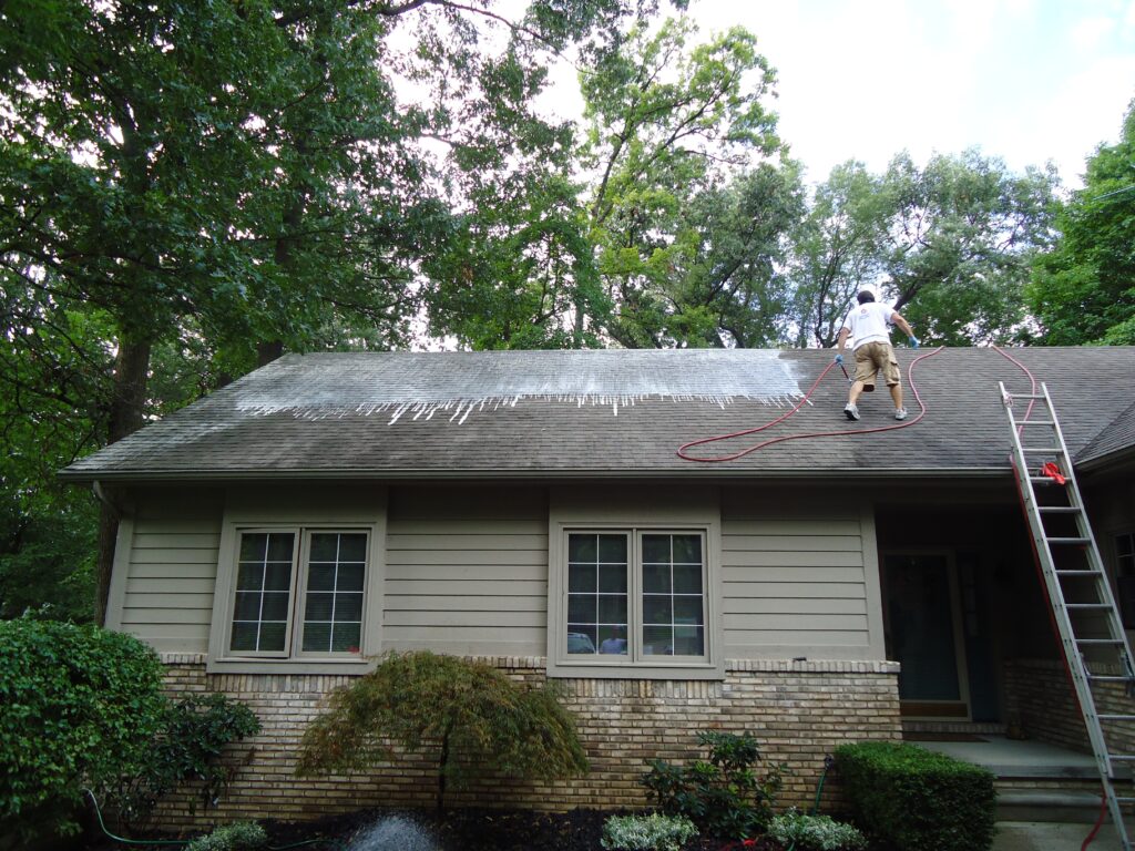 Affordable Roof Cleaning Near Me
