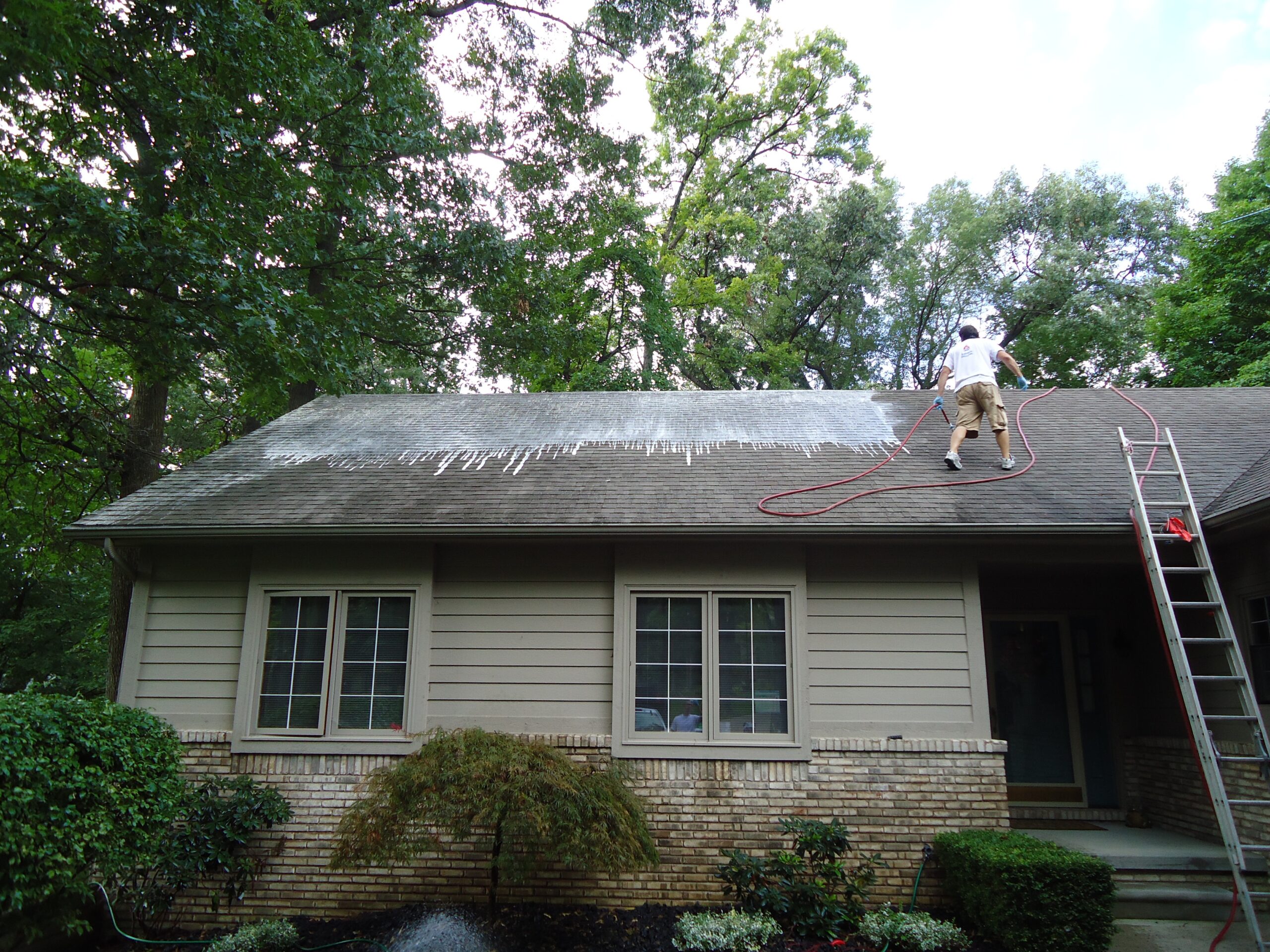 Affordable Roof Cleaning Near Me