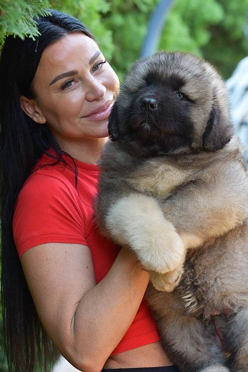 Caucasian shepherd